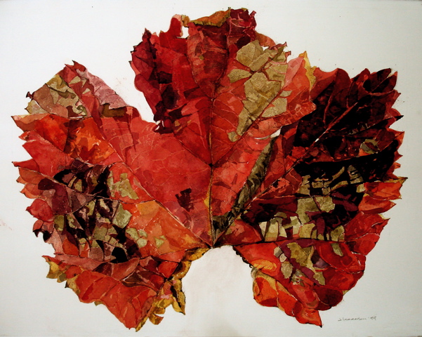 Big Red Grape Leaf